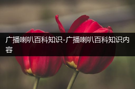 广播喇叭百科知识-广播喇叭百科知识内容