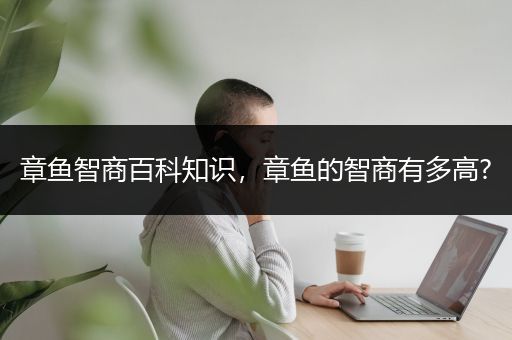 章鱼智商百科知识，章鱼的智商有多高?