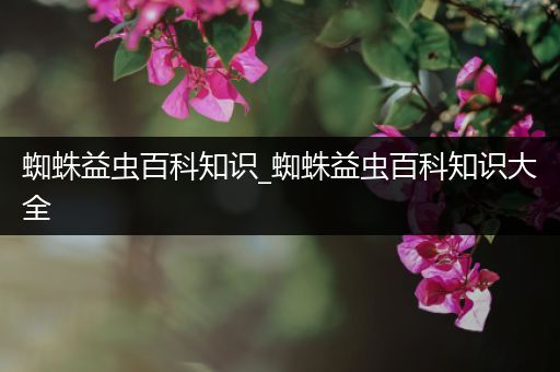 蜘蛛益虫百科知识_蜘蛛益虫百科知识大全