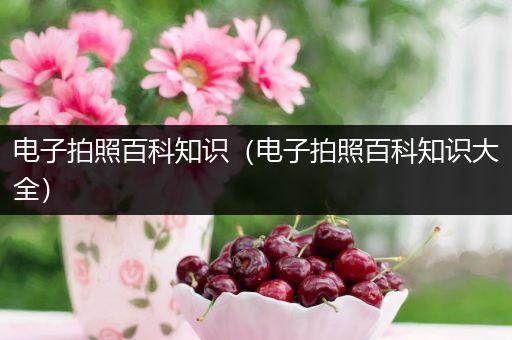 电子拍照百科知识（电子拍照百科知识大全）