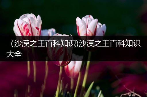 （沙漠之王百科知识)沙漠之王百科知识大全