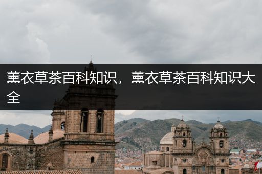 薰衣草茶百科知识，薰衣草茶百科知识大全
