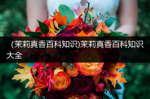 （茉莉真香百科知识)茉莉真香百科知识大全