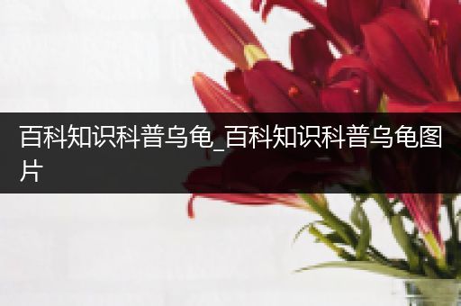 百科知识科普乌龟_百科知识科普乌龟图片