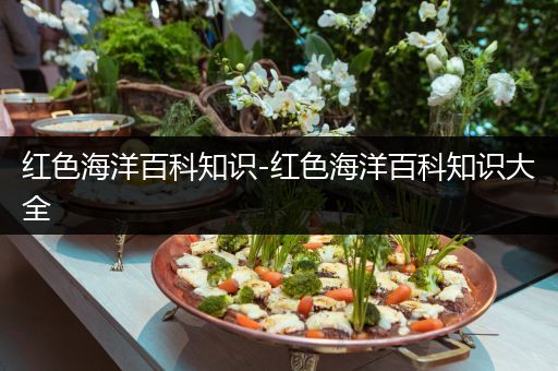 红色海洋百科知识-红色海洋百科知识大全