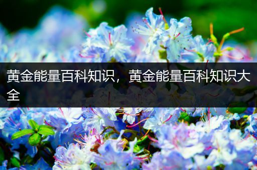 黄金能量百科知识，黄金能量百科知识大全