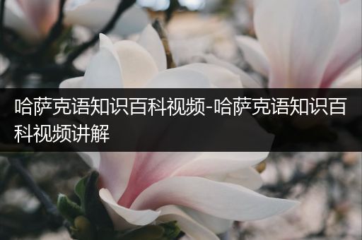 哈萨克语知识百科视频-哈萨克语知识百科视频讲解