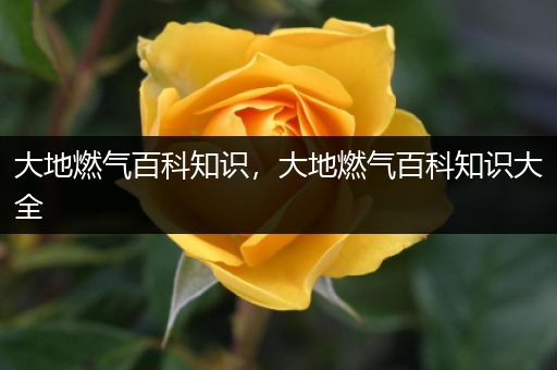 大地燃气百科知识，大地燃气百科知识大全