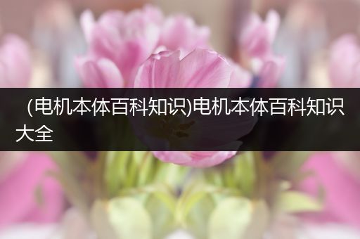 （电机本体百科知识)电机本体百科知识大全