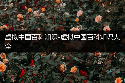 虚拟中国百科知识-虚拟中国百科知识大全