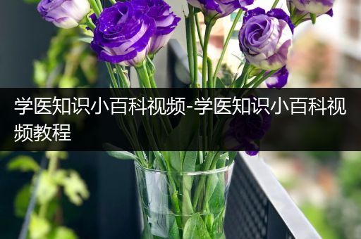 学医知识小百科视频-学医知识小百科视频教程