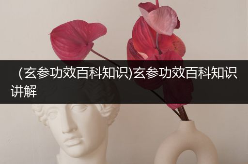 （玄参功效百科知识)玄参功效百科知识讲解