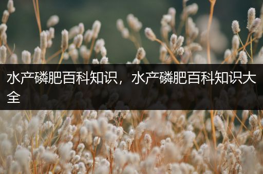 水产磷肥百科知识，水产磷肥百科知识大全