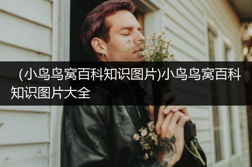 （小鸟鸟窝百科知识图片)小鸟鸟窝百科知识图片大全