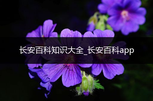 长安百科知识大全_长安百科app