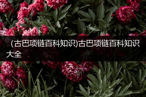 （古巴项链百科知识)古巴项链百科知识大全