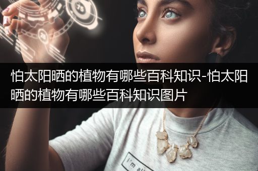 怕太阳晒的植物有哪些百科知识-怕太阳晒的植物有哪些百科知识图片