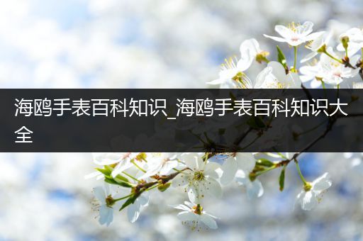 海鸥手表百科知识_海鸥手表百科知识大全