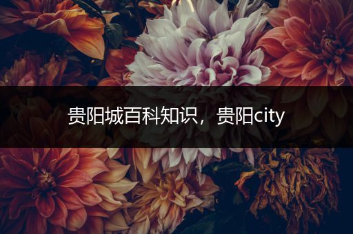 贵阳城百科知识，贵阳city