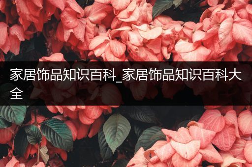 家居饰品知识百科_家居饰品知识百科大全