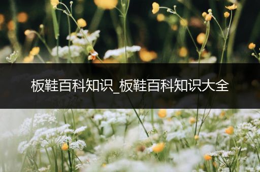 板鞋百科知识_板鞋百科知识大全