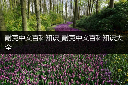 耐克中文百科知识_耐克中文百科知识大全