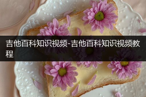 吉他百科知识视频-吉他百科知识视频教程