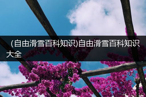（自由滑雪百科知识)自由滑雪百科知识大全