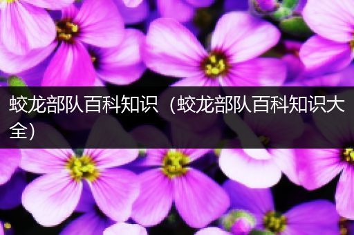 蛟龙部队百科知识（蛟龙部队百科知识大全）