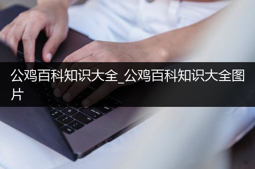 公鸡百科知识大全_公鸡百科知识大全图片