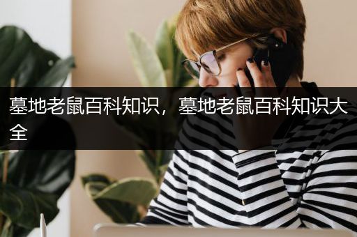 墓地老鼠百科知识，墓地老鼠百科知识大全