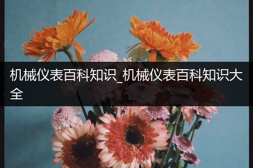 机械仪表百科知识_机械仪表百科知识大全