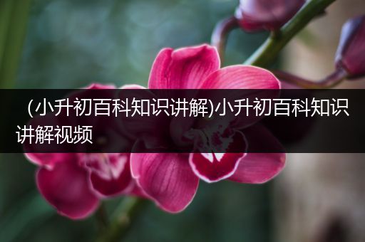 （小升初百科知识讲解)小升初百科知识讲解视频