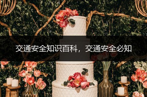 交通安全知识百科，交通安全必知