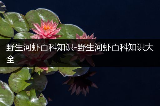 野生河虾百科知识-野生河虾百科知识大全