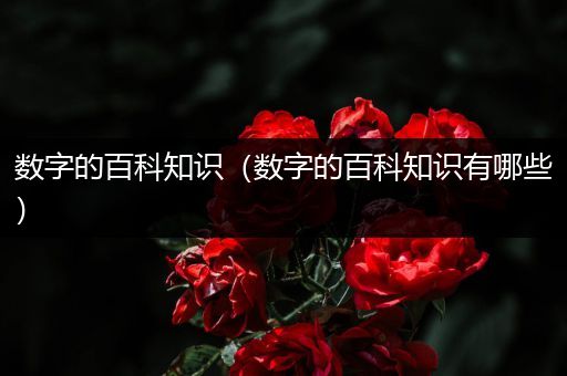 数字的百科知识（数字的百科知识有哪些）