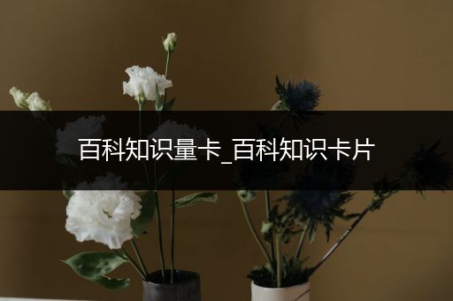 百科知识量卡_百科知识卡片