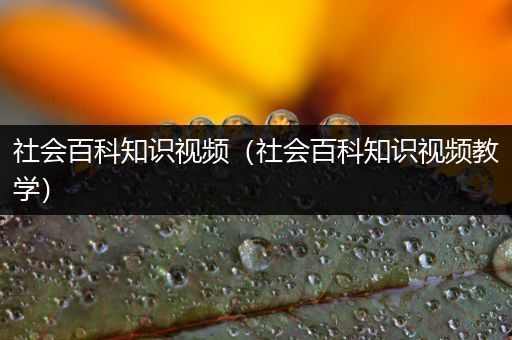 社会百科知识视频（社会百科知识视频教学）