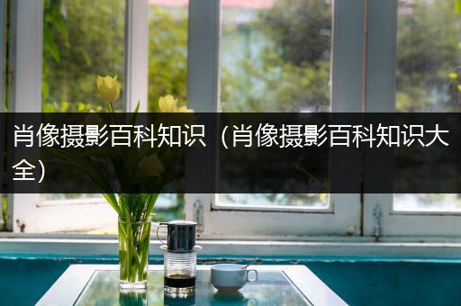 肖像摄影百科知识（肖像摄影百科知识大全）