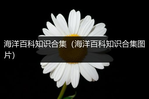 海洋百科知识合集（海洋百科知识合集图片）