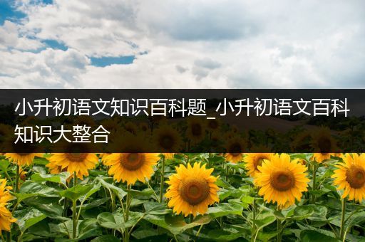 小升初语文知识百科题_小升初语文百科知识大整合