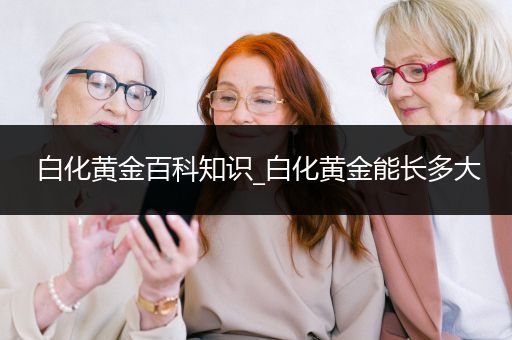 白化黄金百科知识_白化黄金能长多大
