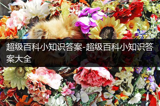 超级百科小知识答案-超级百科小知识答案大全
