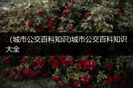 （城市公交百科知识)城市公交百科知识大全