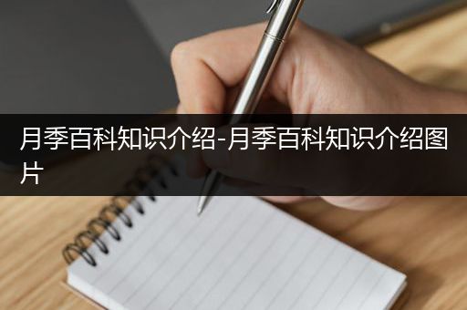 月季百科知识介绍-月季百科知识介绍图片