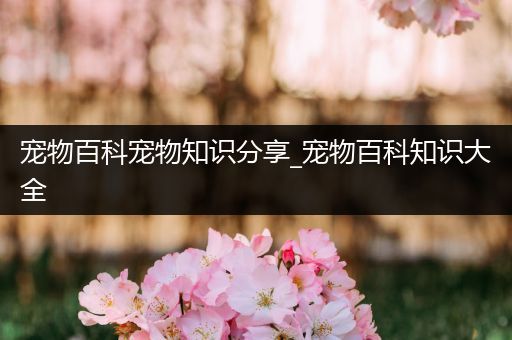 宠物百科宠物知识分享_宠物百科知识大全