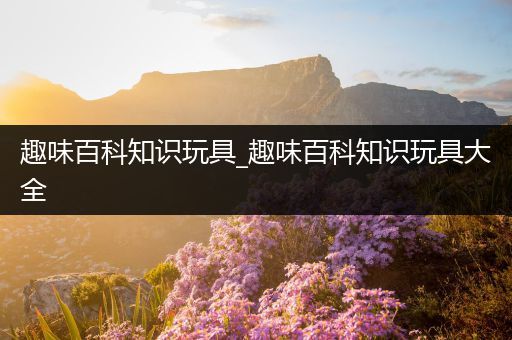 趣味百科知识玩具_趣味百科知识玩具大全