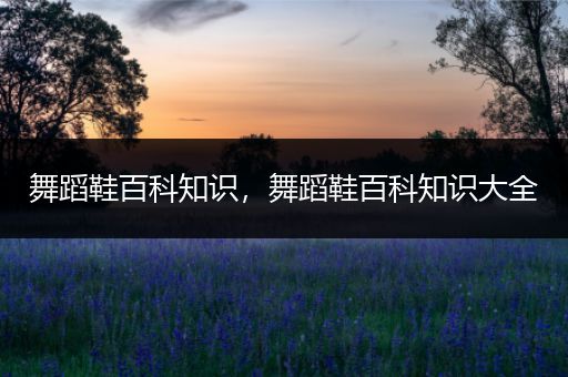 舞蹈鞋百科知识，舞蹈鞋百科知识大全
