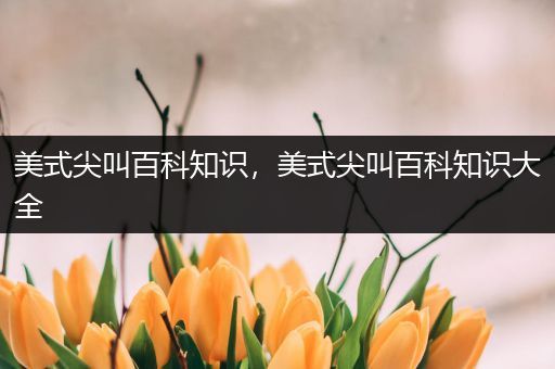 美式尖叫百科知识，美式尖叫百科知识大全