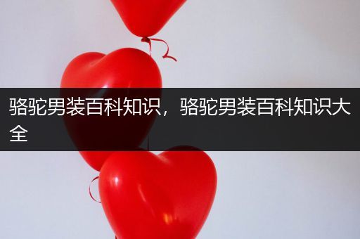骆驼男装百科知识，骆驼男装百科知识大全